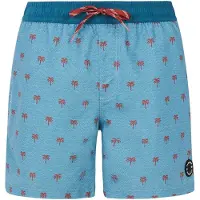 Protest Parco Swimming Shorts Bleu XS Homme