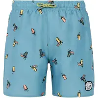Protest Rocker Swimming Shorts Bleu 176 cm Garçons