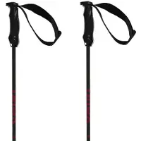 Völkl Bâtons Rentastick Carbon
