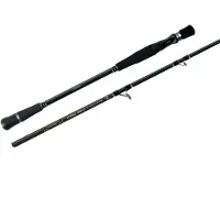 Colmic Canne Baitcasting Strike