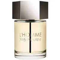 Yves Saint Laurent L'Homme Eau de Toilette 100 ml