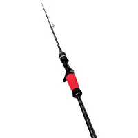 Xzoga Canne Jigging Japan Style