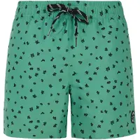 Protest Juan Swimming Shorts Vert M Homme