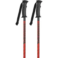K2 France Speed Rental Poles Argenté 130 cm