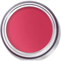 Bobbi Brown Pot Rouge Velvet Matte blush crème mat teinte Guava Punch 8.5 g