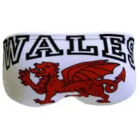 Turbo Slip De Bain Wales Dragon