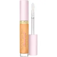 Too Faced Born This Way Ethereal Light Illuminating Smoothing Concealer correcteur éclat pour un effet naturel teinte Biscotti 5 ml