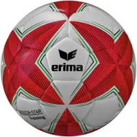 Erima Balle gris / vert / rouge