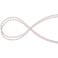 Mammut Performance Static 10 Mm Rope Rouge 200 m