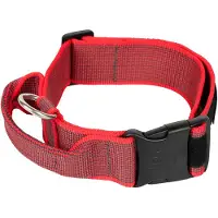 JULIUS K-9 Collar 50 Mm Dog Collar Rouge 50 mm