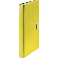 Leitz Recycle Pp A4 5 Separators Accordion Folder Doré Enfants