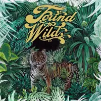 Ginza.se Found Wild - Found Wild [Vinyl]