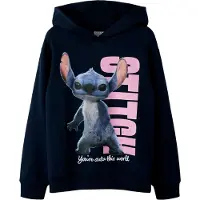 Name it Sweat-shirt 'NKFnibul Stitch' bleu / bleu marine / rose