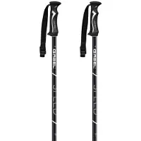 Gabel Speed Poles Argenté 115 cm