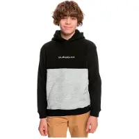 Quiksilver Essentials Polar Sweatshirt Gris 14 Years Garçon