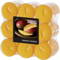 Gala Duft-Teelicht in PC Hülle peach/Mango Papaya 18er Pack