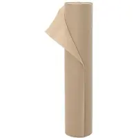 vidaXL Protection hivernale pour plantes, beige, 100 x 1,6 m, non-tissé