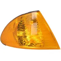 MAGNETI MARELLI Feu clignotant 710311328002, droite