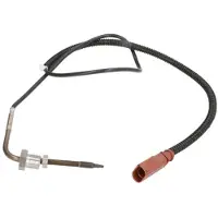 Delphi Palpeur, température des gaz TS30160