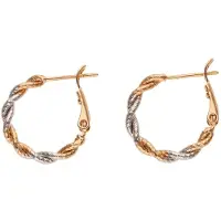 Gaya Boucles d'oreilles or rose / argent