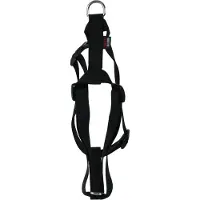 Martin Dog Schaden Basic Nylon Black