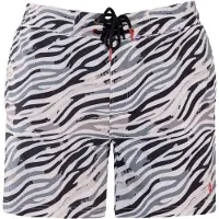 Frozen Cape Shorts de bain gris