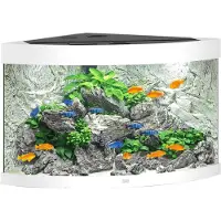 Gebr. De Boon Trigon Led 190 Aquarium Argenté