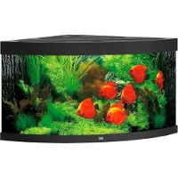 Gebr. De Boon Trigon Led 350 Aquarium Argenté