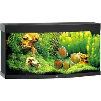 Gebr. De Boon Vision Led 260 Aquarium Clair