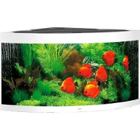Gebr. De Boon Trigon Led 350 Aquarium Argenté
