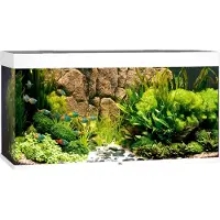 Gebr. De Boon Rio Led 350 Aquarium Clair
