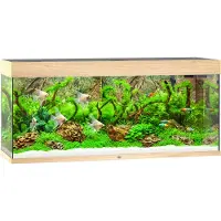 Gebr. De Boon Aquarium Rio 240 incl. éclairage LED, pompe, filtre et chauffage, bois clair