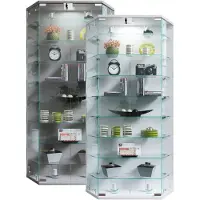 VCM Vitrine murale suspendue vitrine en verre vitrine murale vitrine en verre Benila XL Vitrine murale suspendue vitrine en verre vitrine murale vitrine en verre Benila XL