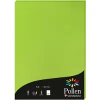 Pollen Papier