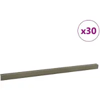 vidaXL Nez de marche 30 pcs Champagne 67 cm Aluminium