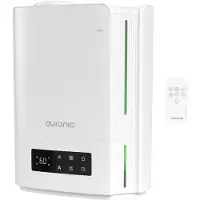 Auronic Humidificateur - 5 litres - Convient au salon, au bureau, à la chambre à coucher, à la chambre de bébé et plus encore - Sans BPA - Blanc