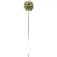 Bloomingville Allium