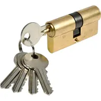 Benson Cylindre de Serrure de Porte 60mm en Laiton + 5 Clés + Vis Barillet Sécurité