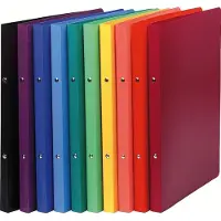 Exacompta 51199E Classeur à anneaux A4 Multicolore (A4, 20 mm, 20 pcs)