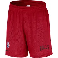 Nike Short en mesh Nike NBA Chicago Bulls pour homme - Rouge | Taille L