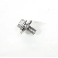 Kawasaki Visserie Origine Pour Moto 250 Kl Super Sherpa 2009 921530503 Neuf