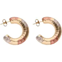 NAEMI Boucles d'oreilles or / or rose / argent