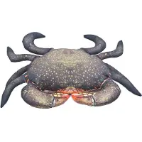 Gaby The Mud Crab Medium Pillow Argenté