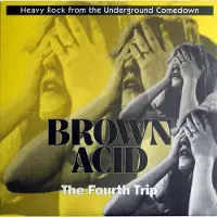 Coast2Coast Various Artists - Brown Acid: Fourth Trip (Various Artists) [Vinyl Lp]