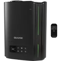 Auronic Humidificateur - 5 litres - Convient au salon, au bureau, à la chambre à coucher, à la chambre de bébé et plus encore - Sans BPA - Noir