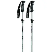 Gabel Bâtons Rental Fast Sr