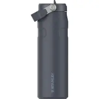 Stanley Bouteille isotherme Flip 0,7 L Gris