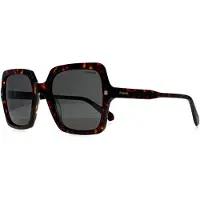 Polaroid Lunettes de Soleil - - PLD 4165/S/X - Havana - Acétate - Femme