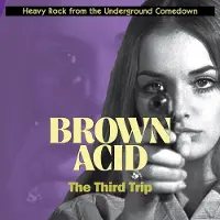 Import Brown Acid : The Third Trip