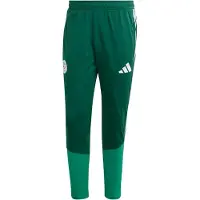 Adidas Algeria 26/27 Training Tracksuit Pants Vert S / Regular Homme